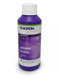 Plagron Power Roots 100ml